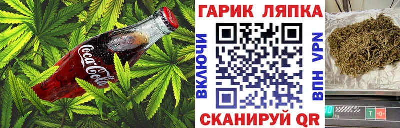 где купить наркоту  Каменка  Cannafood марихуана 
