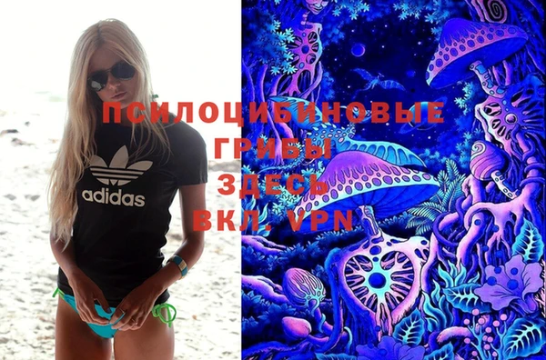 марки lsd Ельня