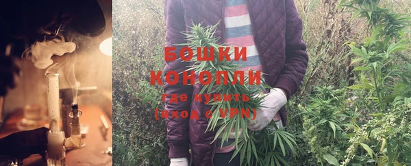 ешки Дмитров