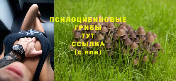 MDMA Premium VHQ Дмитриев