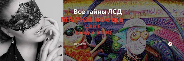 стаф Елабуга