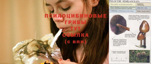 соль курить ск Елизово