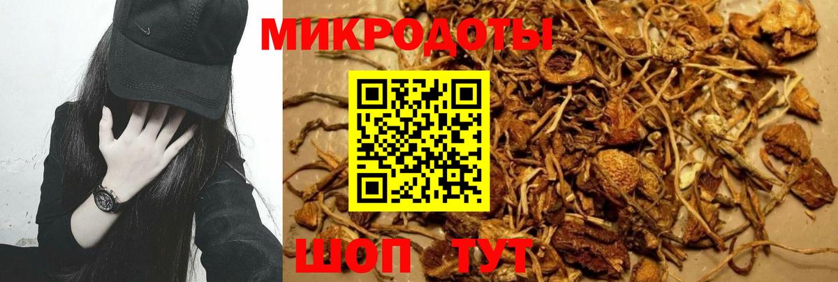 Галлюциногенные грибы Cubensis  Вход с VPN  Каменка 