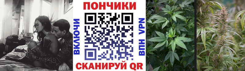 Марихуана сатива  купить наркотик  Каменка 